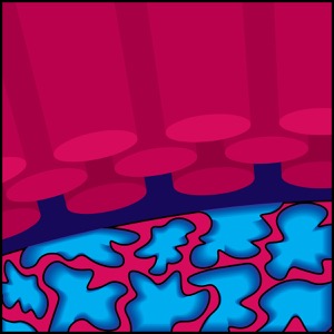 Day 52: Observational Inclinations