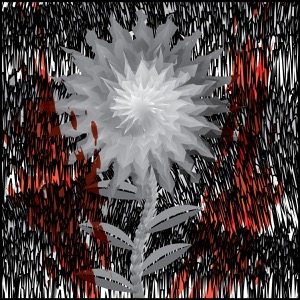 Day 197: Conflict Of Beauty