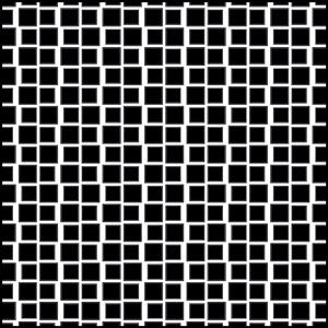 Day 304: Counting Ghosts