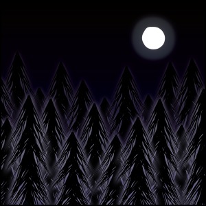 Day 529: Sunlit Night