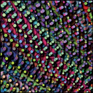 Day 555: Blind Scope