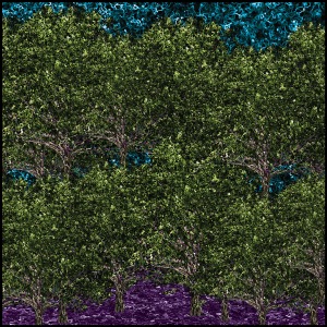 Day 589: Days Of Magic