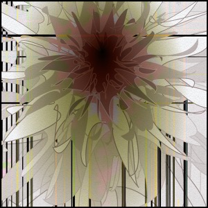 Day 598: Watch The Petals Perform