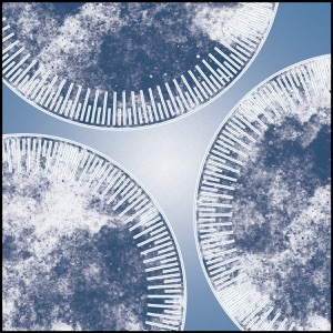 Day 650: Liminal Transit