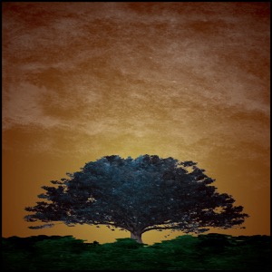 Day 660: Living In His Grand Design