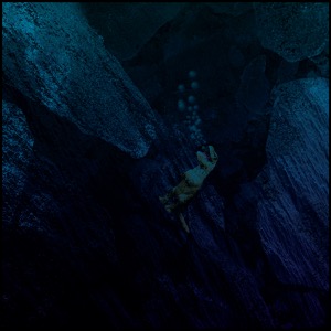 Day 662: Toby Cautions Against Swimming With No Hands