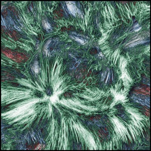 Day 679: Envelop Simplicity