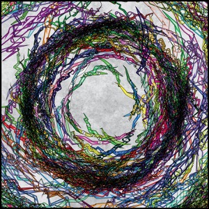 Day 686: Accomplishing Something Great