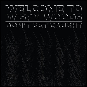 Day 705: Welcome To Wispy Woods