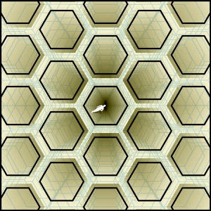 Day 759: Web Of Bones