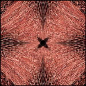 Day 780: Prancing On The Wire