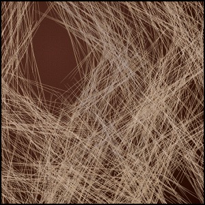 Day 783: Spin Your Web