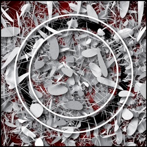 Day 850: Time Cycles