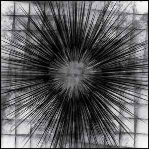 Day 864: Shattered Whisper