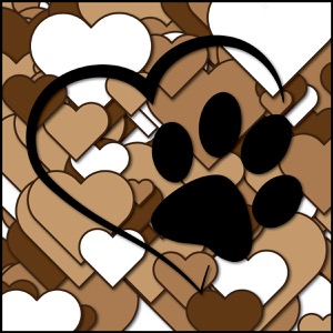 Day 916: Our Newest Member