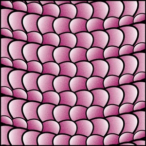 Day 1026: Dragon Scales