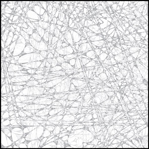 Day 1208: Hidden Webs