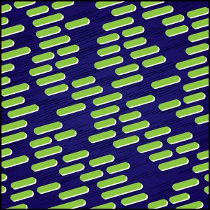 Day 1321: Little Powerhouse