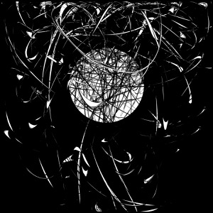 Day 1328: Hidden In The Forest