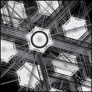 Day 1341: Back Facing Sunflowers