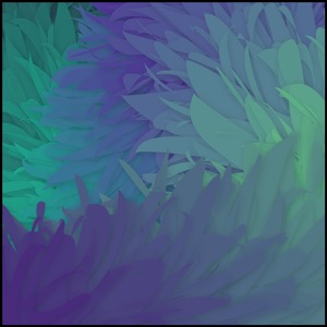 Day 1470: Coral Foam