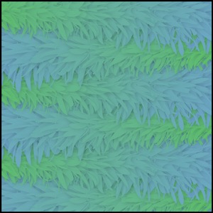 Day 1472: Algae Take Over