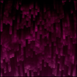 Day 1845: Birds Of A Feather Bleed Together