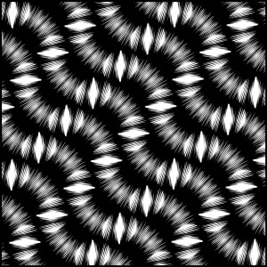 Day 1863: Perpendicular Worms
